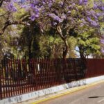 IPN | Especial