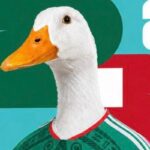 Pato Merlín | Tomada de X